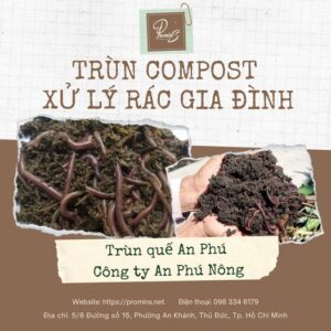 Trùn compost xử lý rác gia đình bao 10kg